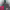 https://res.cloudinary.com/billionhands/image/upload/v1781690739/items/ajdtu11f5ygqtspiu8sn.jpg-0cover