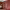 https://res.cloudinary.com/billionhands/image/upload/v1781691912/items/ovvyz9zacpxvccasqmyj.webp-3cover