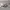 https://res.cloudinary.com/billionhands/image/upload/v1781691952/items/adolhkdezoqexcvjxjca.webp-2cover