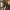 https://res.cloudinary.com/billionhands/image/upload/v1781693224/items/pl5igjhzhvb97ynnx7gf.webp-3cover