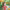 https://res.cloudinary.com/billionhands/image/upload/v1781693525/items/hxeaceuljbxgwqciwsyd.jpg-0cover