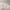 https://res.cloudinary.com/billionhands/image/upload/v1781694140/items/kainwv9me1l133ol7m61.webp-2cover