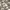 https://res.cloudinary.com/billionhands/image/upload/v1781694151/items/d84o2u0qfe9upypislh0.webp-2cover