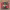 https://res.cloudinary.com/billionhands/image/upload/v1781695180/items/piiqqsuuhphqmu1bhdml.jpg-3cover