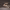 https://res.cloudinary.com/billionhands/image/upload/v1781695719/items/nclvovivyxapvtlhrq1x.webp-0cover
