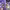 https://res.cloudinary.com/billionhands/image/upload/v1781695997/items/vv4vf78st7ftvnqoldn1.png-3cover