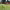 https://res.cloudinary.com/billionhands/image/upload/v1781696007/items/gpnkevzkgwetooidacb7.jpg-3cover
