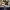 https://res.cloudinary.com/billionhands/image/upload/v1781696271/items/grhncys6ferccbheoqpo.jpg-3cover