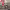 https://res.cloudinary.com/billionhands/image/upload/v1781696842/items/nmrlskjcaderqeswuudu.jpg-2cover