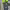 https://res.cloudinary.com/billionhands/image/upload/v1781697163/items/rrpz3nz5hyjpdit8bno9.jpg-2cover