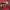 https://res.cloudinary.com/billionhands/image/upload/v1781697503/items/unzedmeaoksx49s1loru.jpg-3cover