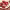 https://res.cloudinary.com/billionhands/image/upload/v1781697656/items/mahbigkc86j1bfhctyxa.jpg-2cover