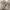 https://res.cloudinary.com/billionhands/image/upload/v1781699960/items/ompmrl1s9uft7gdxcsjy.jpg-1cover