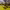 https://res.cloudinary.com/billionhands/image/upload/v1781700168/items/bfd2vl1tezfpe5wtrqit.webp-1cover