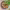 https://res.cloudinary.com/billionhands/image/upload/v1781700533/items/amfwoeey5kwdbftp3kfc.jpg-1cover