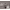 https://res.cloudinary.com/billionhands/image/upload/v1781700897/items/jf1stntltekx7xrqavy6.jpg-0cover