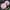Dahlia rosea cover