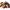 https://res.cloudinary.com/billionhands/image/upload/v1781702055/items/xkufkzu4gf1ybpdmrluq.avif-0cover