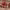 https://res.cloudinary.com/billionhands/image/upload/v1781702071/items/w1ogcehkqaa35gky0btb.jpg-0cover