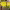 https://res.cloudinary.com/billionhands/image/upload/v1781702082/items/hrptxcioiblgas3vire7.webp-1cover