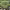 https://res.cloudinary.com/billionhands/image/upload/v1781702083/items/yed8ax5fi7g8ffazrlu5.webp-2cover