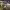 https://res.cloudinary.com/billionhands/image/upload/v1781706120/items/qpr27bi8lsowuw9dnwhh.jpg-1cover