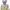 https://res.cloudinary.com/billionhands/image/upload/v1781707022/items/moegzzsnrnhmns43ztyh.webp-0cover