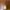 https://res.cloudinary.com/billionhands/image/upload/v1781707822/items/jsszpc8xyzggrcnyk5ad.webp-0cover