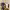 https://res.cloudinary.com/billionhands/image/upload/v1781707825/items/t6xhb9fuxxrqd4gj0wgk.jpg-2cover