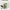 https://res.cloudinary.com/billionhands/image/upload/v1781708978/items/t9pyayjg4f3mabejznm2.webp-1cover