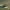 https://res.cloudinary.com/billionhands/image/upload/v1781709263/items/qajd66gfsgridoz0kdt2.jpg-0cover