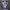 https://res.cloudinary.com/billionhands/image/upload/v1781709844/items/dxnverudvpulybt1921n.webp-0cover