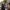 https://res.cloudinary.com/billionhands/image/upload/v1781710887/items/y4cwdfkcfdkaaui5j6lg.avif-2cover