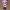 https://res.cloudinary.com/billionhands/image/upload/v1781711978/items/lqmtuoek6q68kydmwxwn.jpg-0cover