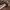 https://res.cloudinary.com/billionhands/image/upload/v1781712959/items/rmtxefqds1remxlglgkz.jpg-3cover