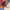 https://res.cloudinary.com/billionhands/image/upload/v1781713304/items/pahnvck0lk8iuqyqpm2b.webp-2cover