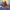 https://res.cloudinary.com/billionhands/image/upload/v1781714200/items/bh9jzn3qamm05x4lpkk2.avif-3cover