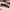 https://res.cloudinary.com/billionhands/image/upload/v1781714290/items/fd01cv6hgur6c299ychv.jpg-1cover