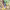 https://res.cloudinary.com/billionhands/image/upload/v1781714620/items/k56vkcfbysmbzilzsdup.jpg-0cover