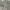https://res.cloudinary.com/billionhands/image/upload/v1781714699/items/pkpuxvtfe3qkuqsrcr7m.jpg-3cover