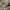 https://res.cloudinary.com/billionhands/image/upload/v1781714702/items/vshh5xra5x64v7arg2be.jpg-1cover
