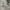 https://res.cloudinary.com/billionhands/image/upload/v1781714704/items/u65h4gaaxaz9hqi5s0un.jpg-3cover