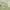 https://res.cloudinary.com/billionhands/image/upload/v1781714710/items/vzan9xosxzyaene2v01r.jpg-3cover