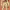 https://res.cloudinary.com/billionhands/image/upload/v1781715018/items/sezseneayg1uc88nrkmu.jpg-2cover