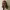 https://res.cloudinary.com/billionhands/image/upload/v1781715263/items/waqxfjpwgclexe2bwaai.jpg-2cover