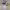 https://res.cloudinary.com/billionhands/image/upload/v1781715401/items/vewlwjscq5fgnwolgdko.jpg-0cover