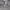 https://res.cloudinary.com/billionhands/image/upload/v1781715403/items/kprxpxojl27us1uojni5.jpg-1cover