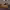https://res.cloudinary.com/billionhands/image/upload/v1781716215/items/ap6rxqx797wdxpujbhyr.webp-2cover
