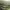 https://res.cloudinary.com/billionhands/image/upload/v1781716938/items/dwpy5moykjp9rarvj7dh.webp-1cover