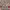 The Million Dollar Homepage cover